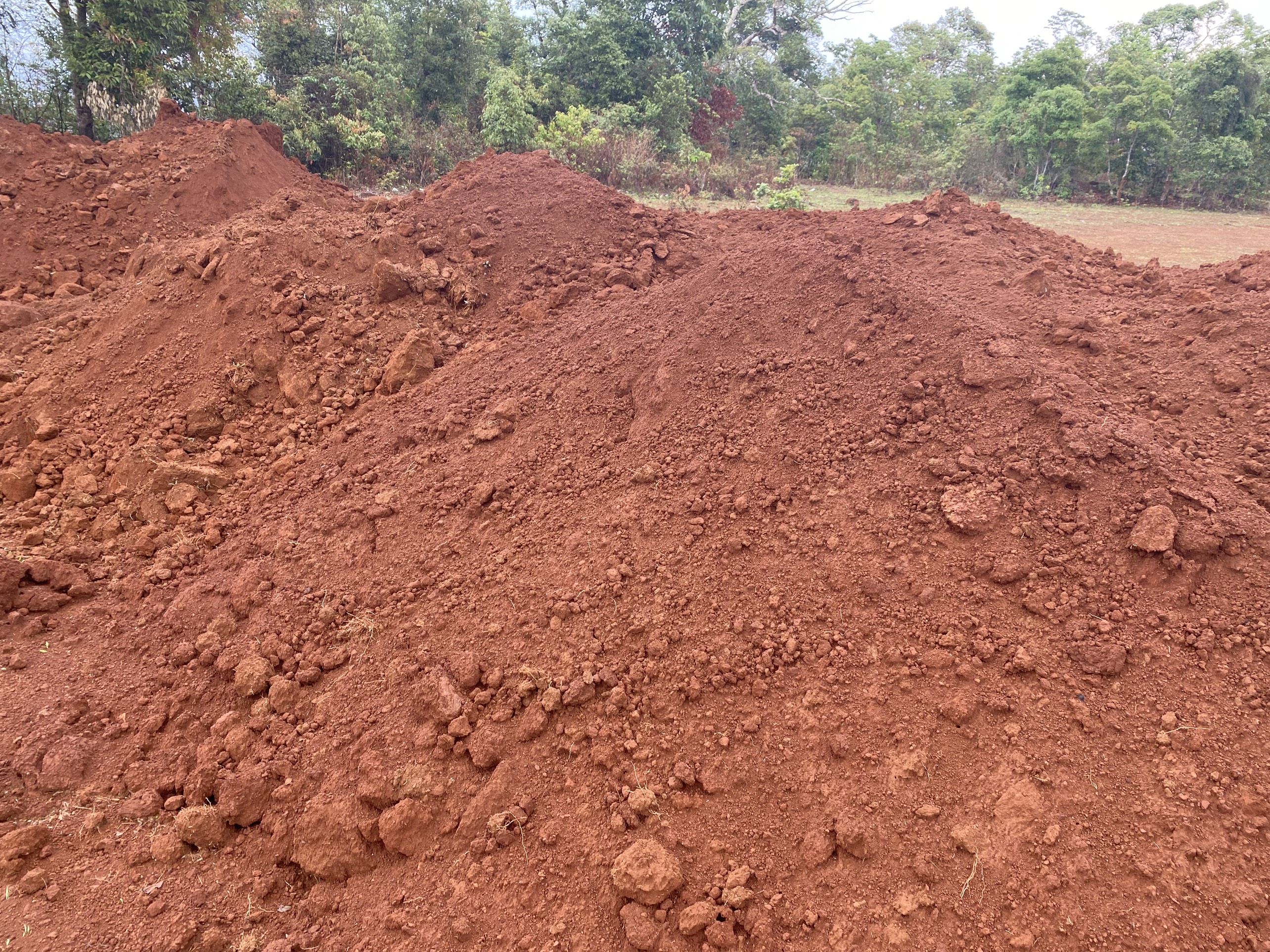 Cơ hội xuất khẩu 150,000 tấn quặng Bauxite mỗi tháng cho đối tác Trung Quốc